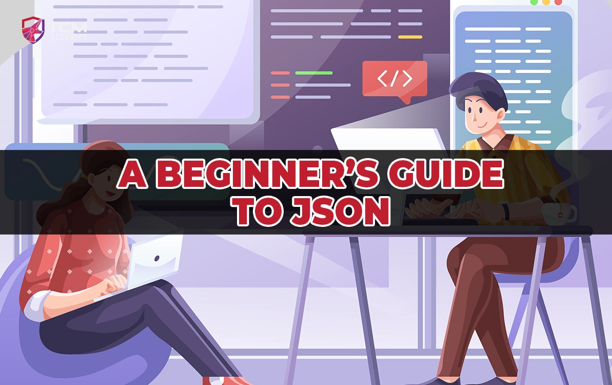 A beginner's guide to JSON