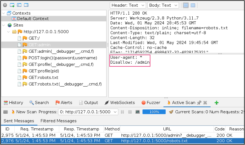 Zap output from an Active Scan