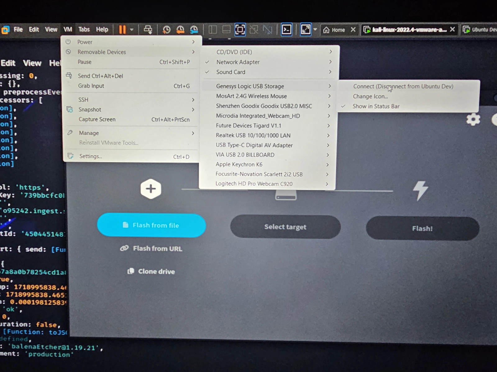 VMWare Workstation example how to connect removable devices