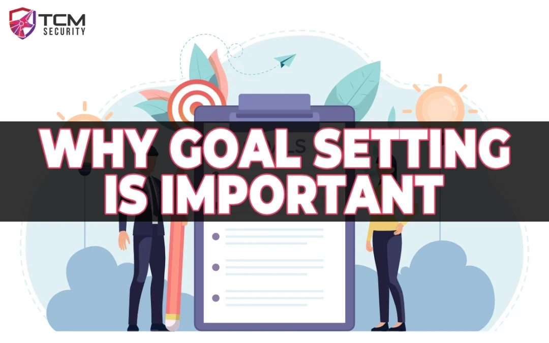 Why Setting Goals is Important