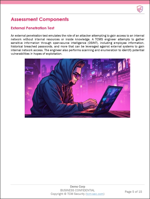 example of assessment components section in the TCM Security penetration test report