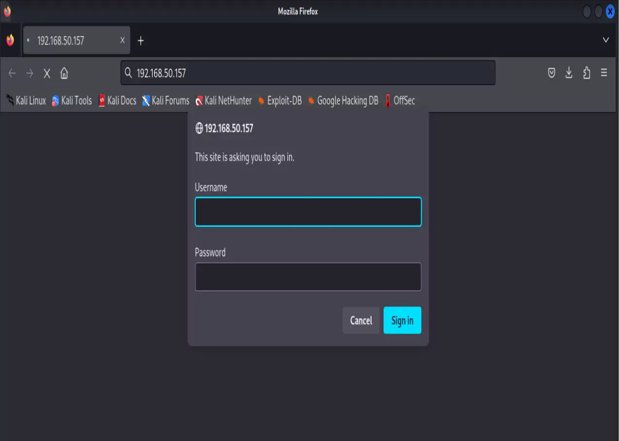 vulnerable web portal login
