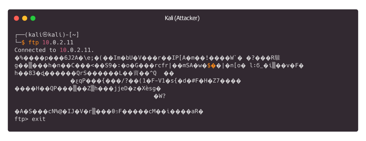 Honeypot FTP connection test