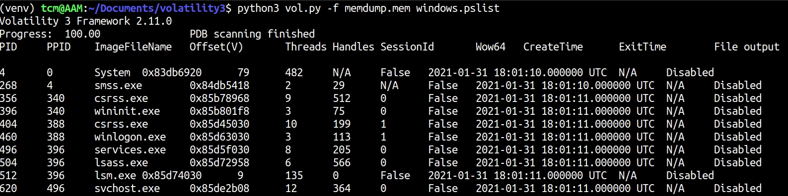 Using Volatility to list running processes from captured memory data