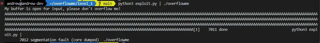 Buffer overflow segmentation fault example