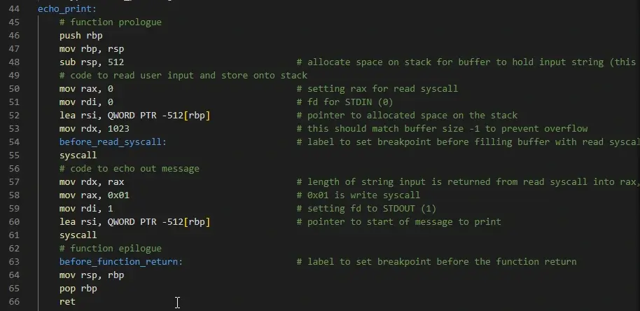 Example of echo print code in assembly