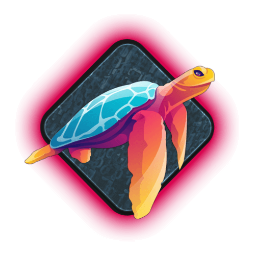 Practical Web Hacking course